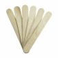 LARGE APPLICATORS 100pcs